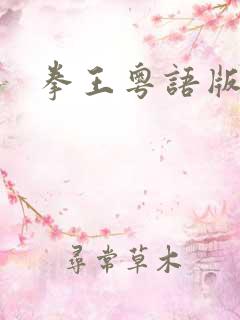 拳王粤语版