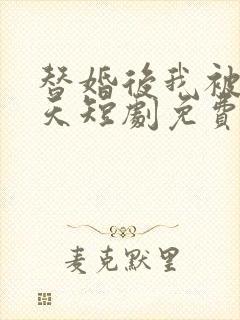替婚后我被宠上天短剧免费观看全集
