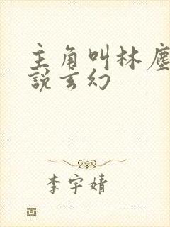 主角叫林尘的小说玄幻