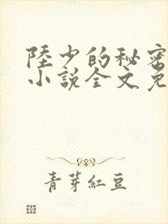 陆少的秘密恋人小说全文免费阅读