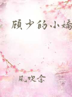 顾少的小娇妻