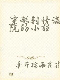 穿越到情满四合院的小说