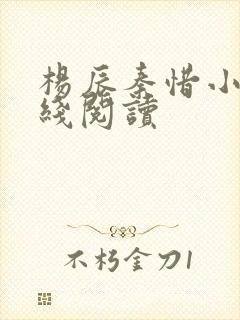 杨辰秦惜小说在线阅读