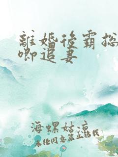 离婚后霸总哭唧唧追妻