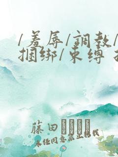 /羞辱/调教/捆绑/束缚 折磨