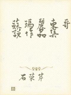 苏玛丽东哥的小说作品集