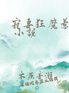 宠妻狂魔惹不得 小说