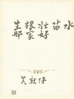 生根壮苗水溶肥哪家好