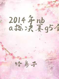 2014年nba总决赛g5全场回放