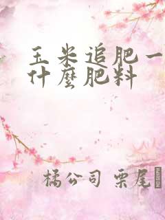玉米追肥一般用什么肥料
