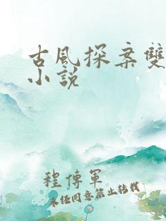 古风探案双男主小说