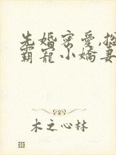 先婚密爱,总裁霸宠小娇妻 吉祥夜