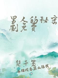 男人的秘密电视剧免费