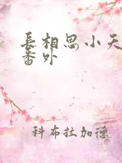 长相思小夭和璟番外