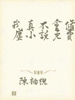 我真不会修仙叶尘小说免费阅读