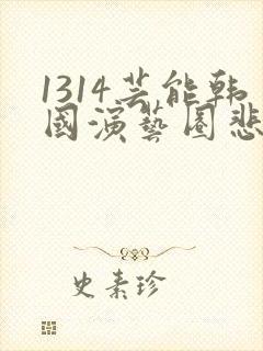 1314芸能韩国演艺圈悲k8