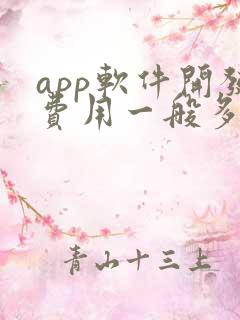 app软件开发费用一般多少钱