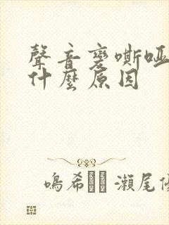 声音变嘶哑了是什么原因