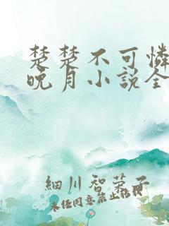 楚楚不可怜by晚月小说全文免费阅读