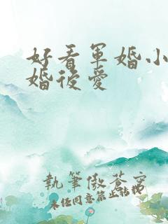 好看军婚小说先婚后爱