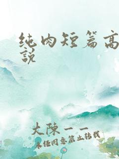 纯肉短篇高h小说