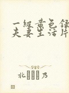 一级黄色录像片夫妻生活片