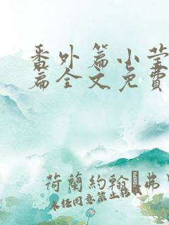 番外篇小莹番外篇全文免费阅读