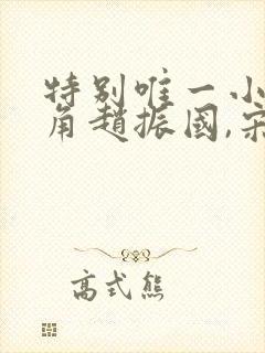 特别唯一小说主角赵振国,宋婉清
