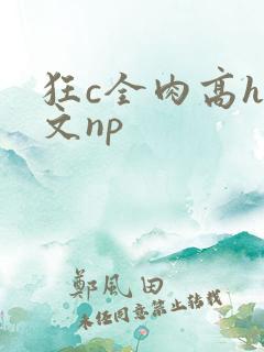 狂c全肉高h辣文np