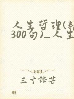 人生哲理(精选300句)_人生感悟的句子
