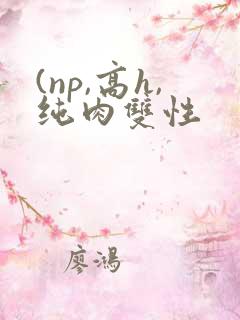 (np,高h,纯肉双性