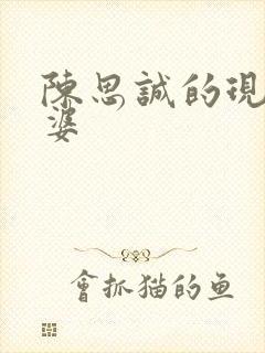 陈思诚的现任老婆