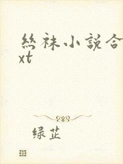 丝袜小说合集txt