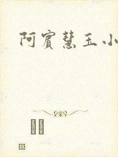 阿宾慧玉小说