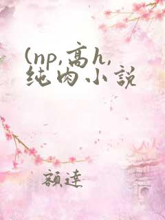 (np,高h,纯肉小说