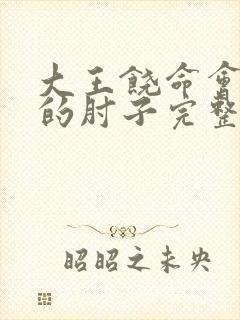 大王饶命会说话的肘子完整版txt