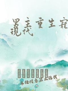 男主重生宠妻文现代