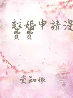 离婚申请漫画免费费