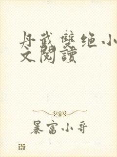 丹武双绝小说全文阅读