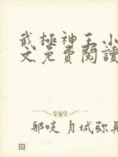 武极神王小说全文免费阅读
