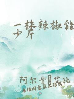 一株辣椒能产多少斤