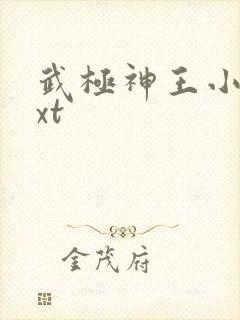 武极神王小说txt
