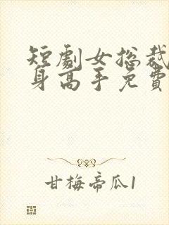 短剧女总裁的贴身高手免费观看全集
