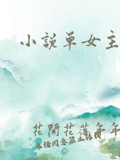 小说单女主