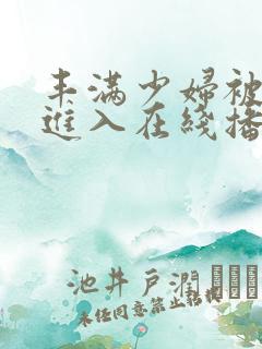 丰满少妇被猛烈进入在线播放视频