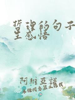 哲理的句子 人生感悟