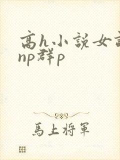 高h小说女调教np群p