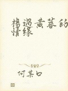杨过黄蓉的荒岛情缘