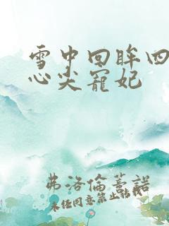 雪中回眸四爷的心尖宠妃