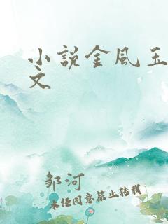 小说金风玉露全文